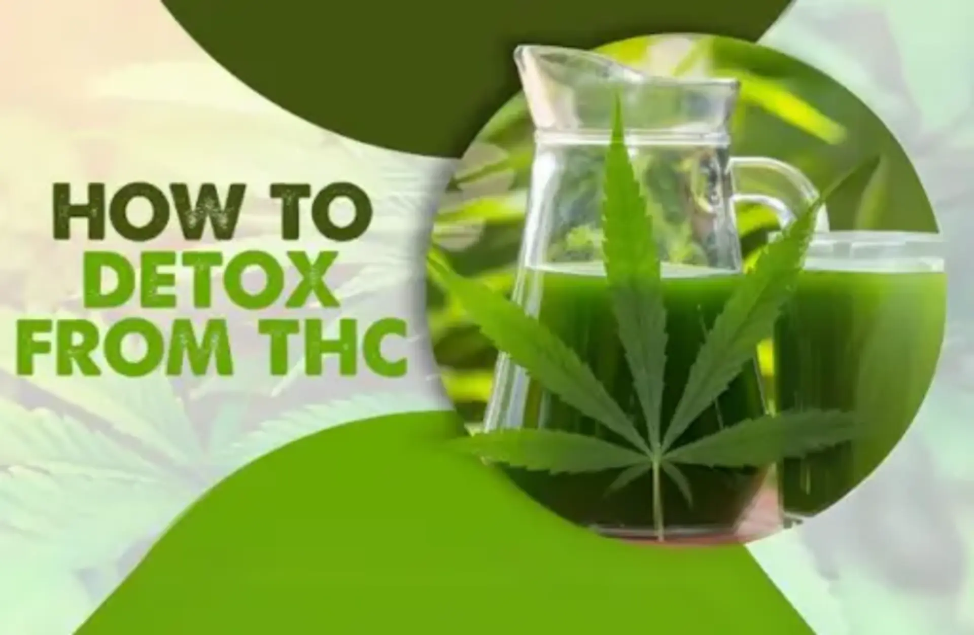 Detox Drinks for THC