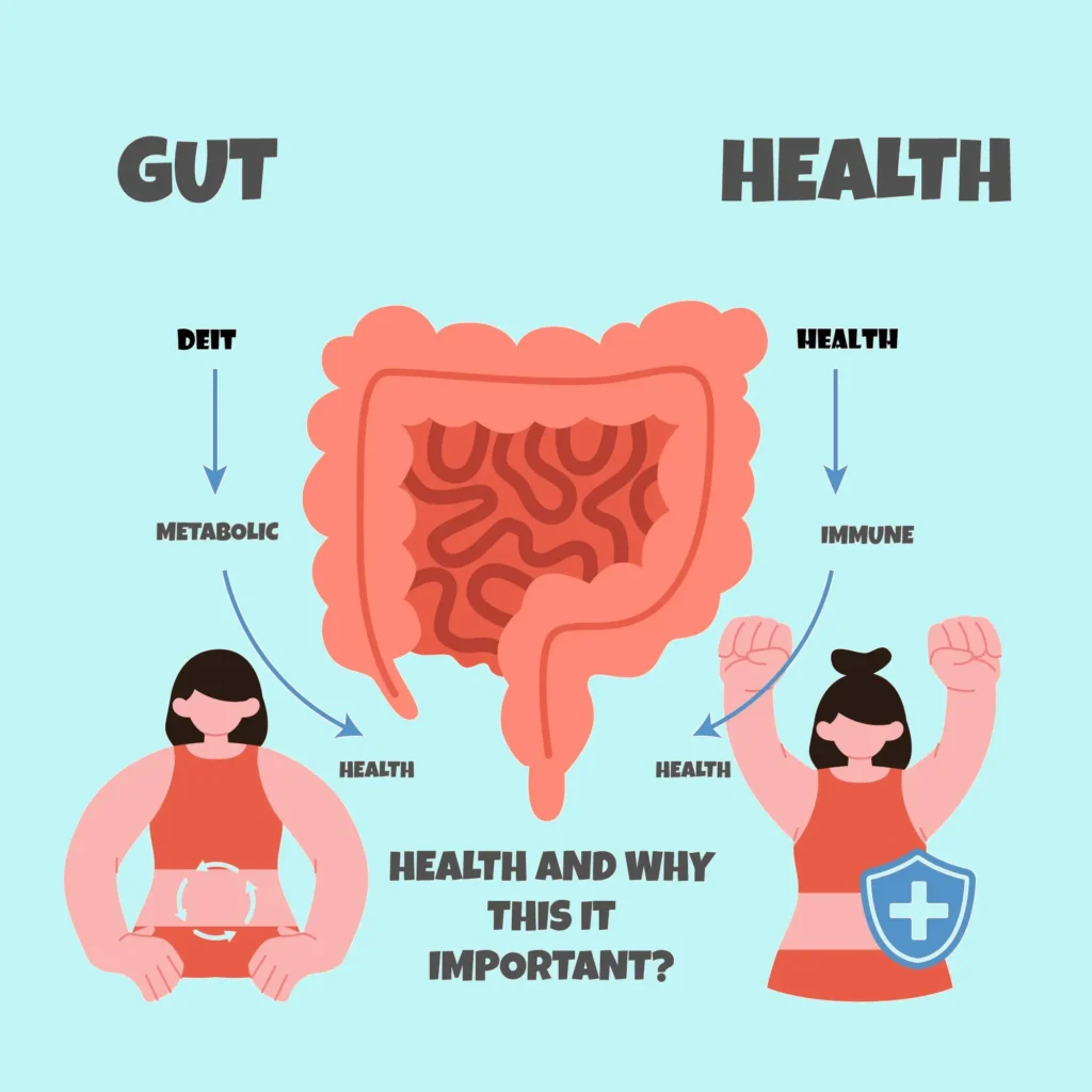 Gut Health Importance