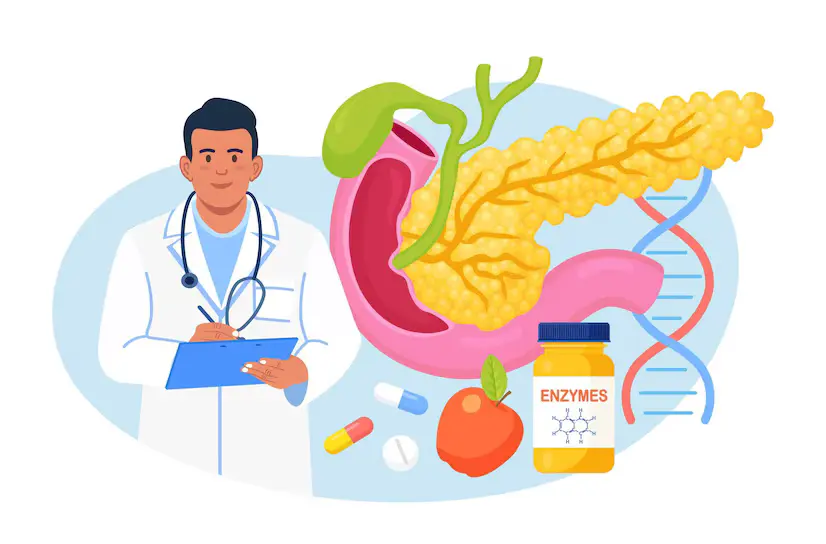 Benefits of Pancreas Enzymes for Optimal Health and Digestion